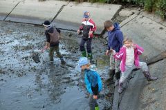 VÝLOV RYBNÍKA 13.října 2018