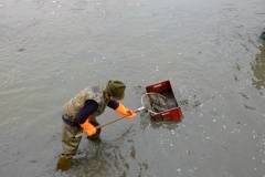 VÝLOV SPODNÍHO RYBNÍKA 25.3.2016