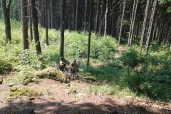 Žďárské vrchy 6-2015